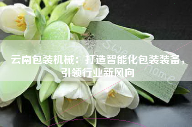 云南包装机械：打造智能化包装装备，引领行业新风向