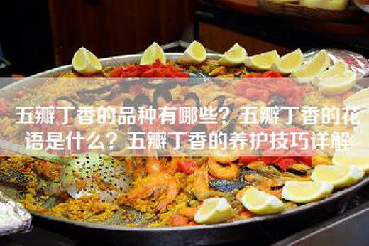 五瓣—的品种有哪些？五瓣—的花语是什么？五瓣—的养护技巧详解