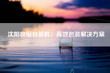 沈阳收缩包装机：高效包装解决方案