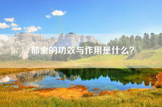 郁金的功效与作用是什么？