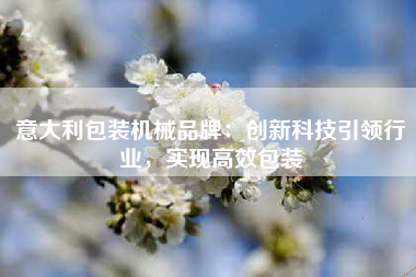 意大利包装机械品牌：创新科技引领行业，实现高效包装