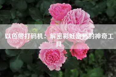 以色带打码机：解密彩虹密码的神奇工具