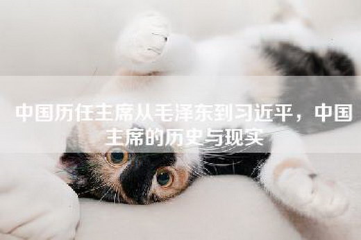 中国历任主席从—到—，—的历史与现实