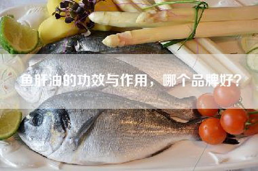 鱼肝油的功效与作用，哪个品牌好？