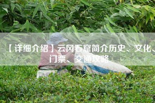 【详细介绍】云冈石窟简介历史、文化、门票、交通攻略