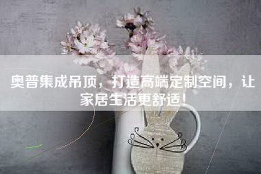 奥普集成吊顶，打造高端定制空间，让家居生活更舒适！