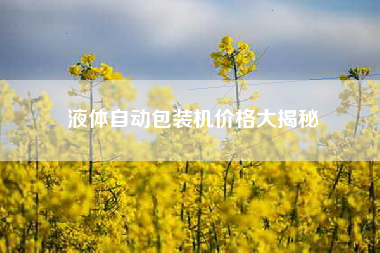 液体自动包装机价格大揭秘