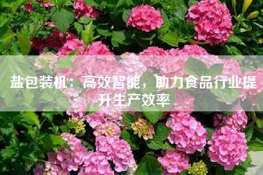 盐包装机：高效智能，助力食品行业提升生产效率