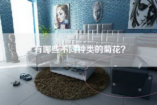 有哪些不同种类的菊花？