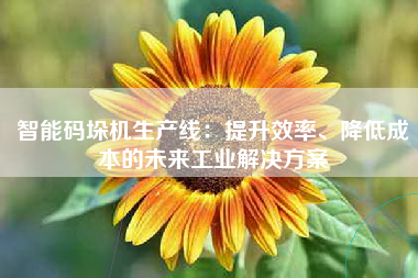智能码垛机生产线：提升效率、降低成本的未来工业解决方案