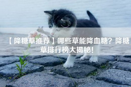 【降糖草推荐】哪些草能降血糖？降糖草排行榜大揭秘！