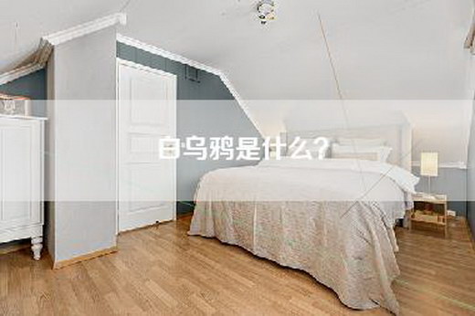 白乌鸦是什么？