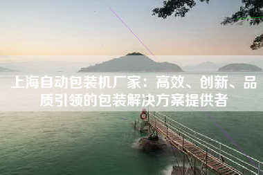 上海自动包装机厂家：高效、创新、品质引领的包装解决方案提供者