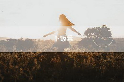 下饭菜