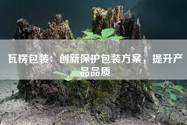 瓦楞包装：创新保护包装方案，提升产品品质