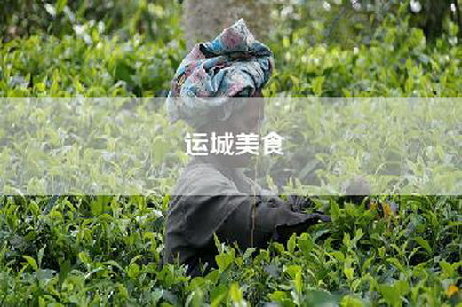 运城美食
