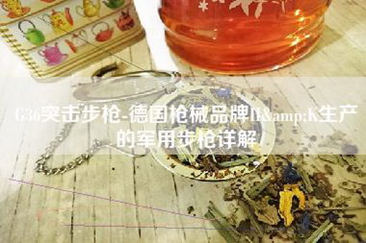 G36突击—-德国—品牌H&K生产的——详解