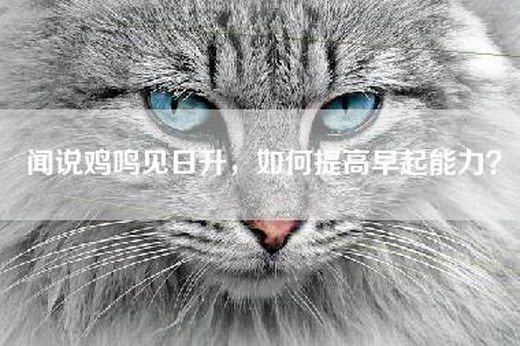 闻说鸡鸣见日升，如何提高早起能力？
