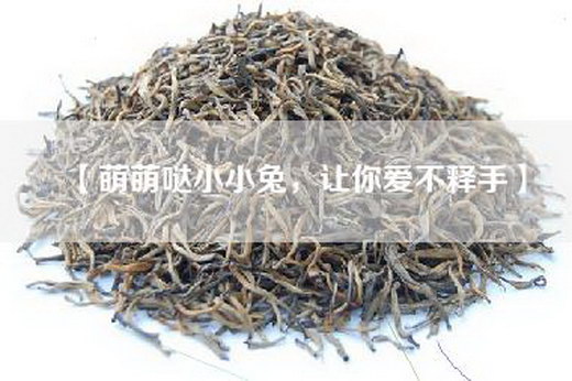 【萌萌哒小小兔，让你爱不释手】