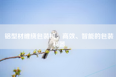 铝型材缠绕包装机：高效、智能的包装利器