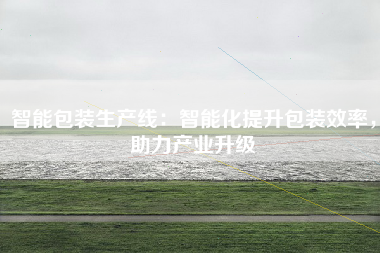 智能包装生产线：智能化提升包装效率，助力产业升级