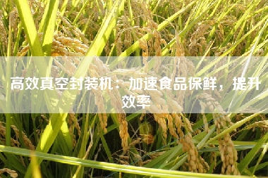 高效真空封装机：加速食品保鲜，提升效率