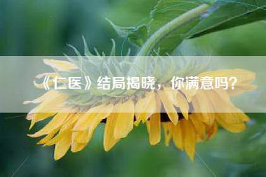 《仁医》结局揭晓，你满意吗？
