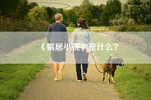 《蜗居小说》是什么？
