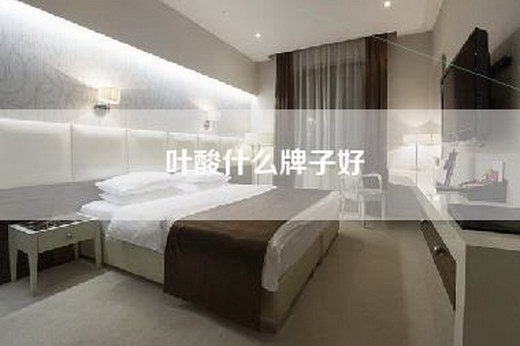 叶酸什么牌子好