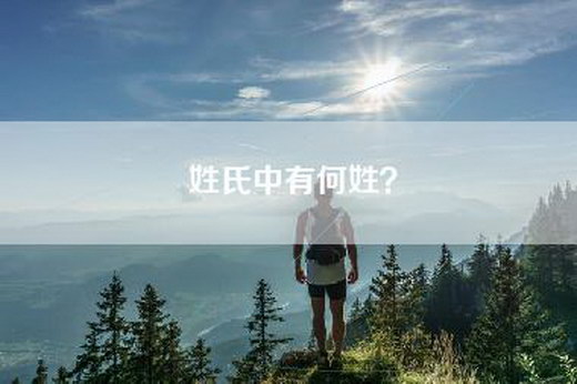 姓氏中有何姓？