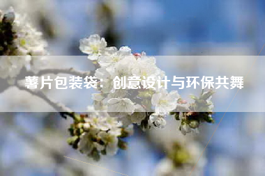 薯片包装袋：创意设计与环保共舞