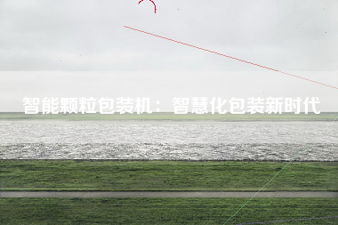 智能颗粒包装机：智慧化包装新时代