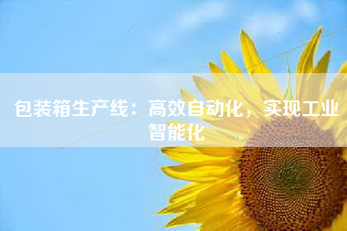 包装箱生产线：高效自动化，实现工业智能化