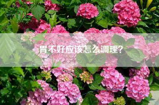 胃不好应该怎么调理？