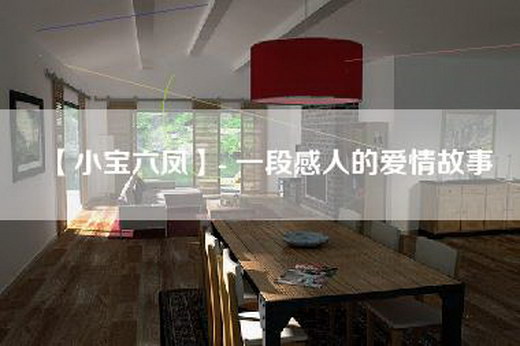 【小宝六凤】- 一段感人的爱情故事
