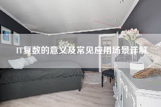 IT复数的意义及常见应用场景详解