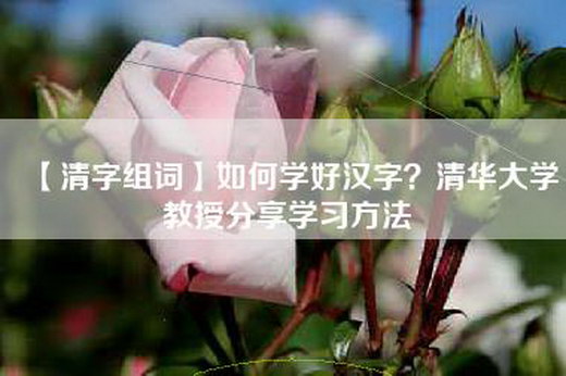 【清字组词】如何学好汉字？清华大学教授分享学习方法