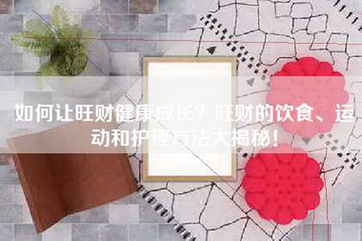 如何让旺财健康成长？旺财的饮食、运动和护理方法大揭秘！