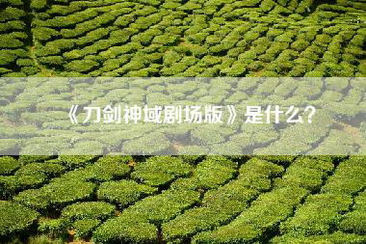 《刀剑神域剧场版》是什么？