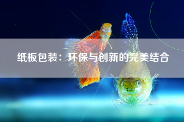 纸板包装：环保与创新的完美结合