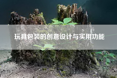 玩具包装的创意设计与实用功能