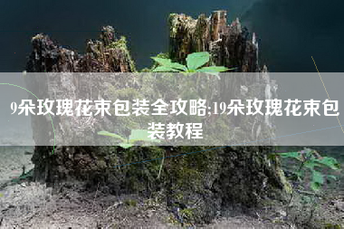 9朵玫瑰花束包装全攻略;19朵玫瑰花束包装教程