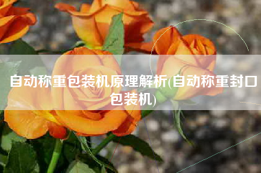 自动称重包装机原理解析(自动称重封口包装机)