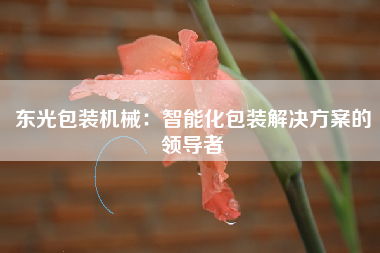 东光包装机械：智能化包装解决方案的领导者