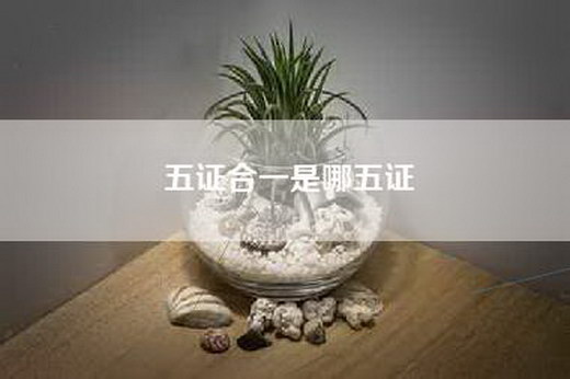 五证合一是哪五证