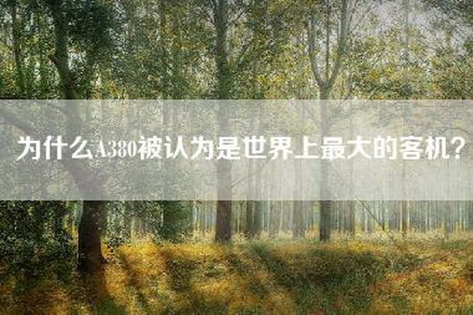 为什么A380被认为是世界上最大的客机？