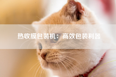 热收膜包装机：高效包装利器