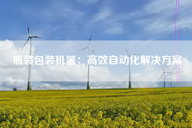 瓶装包装机器：高效自动化解决方案