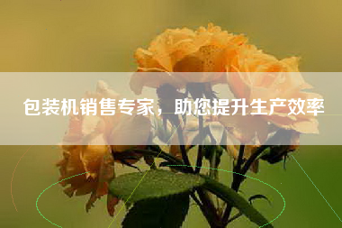 包装机销售专家，助您提升生产效率