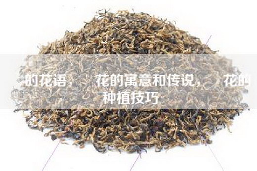 晞的花语，晞花的寓意和传说，晞花的种植技巧